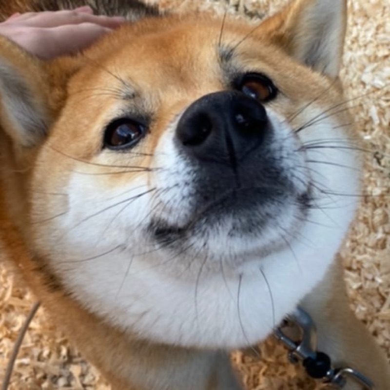 あーちゃん
