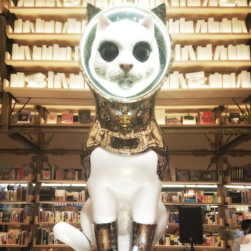 節子