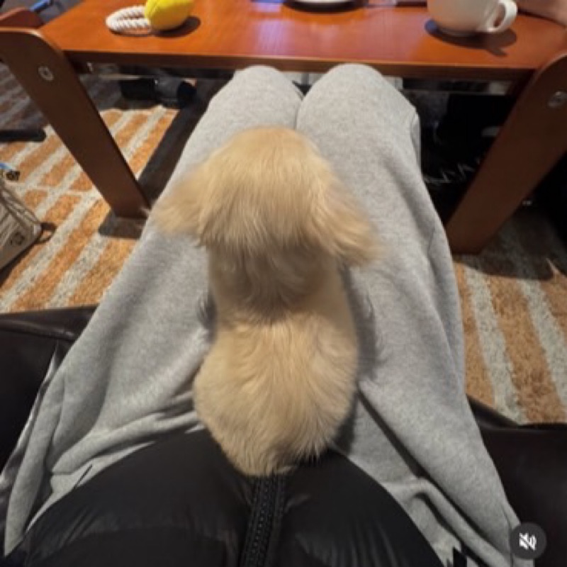 さや
