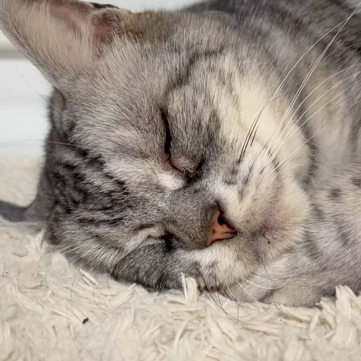 ゆみこ