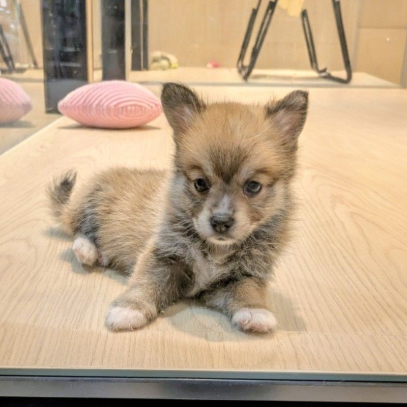 りらくる　ふうか