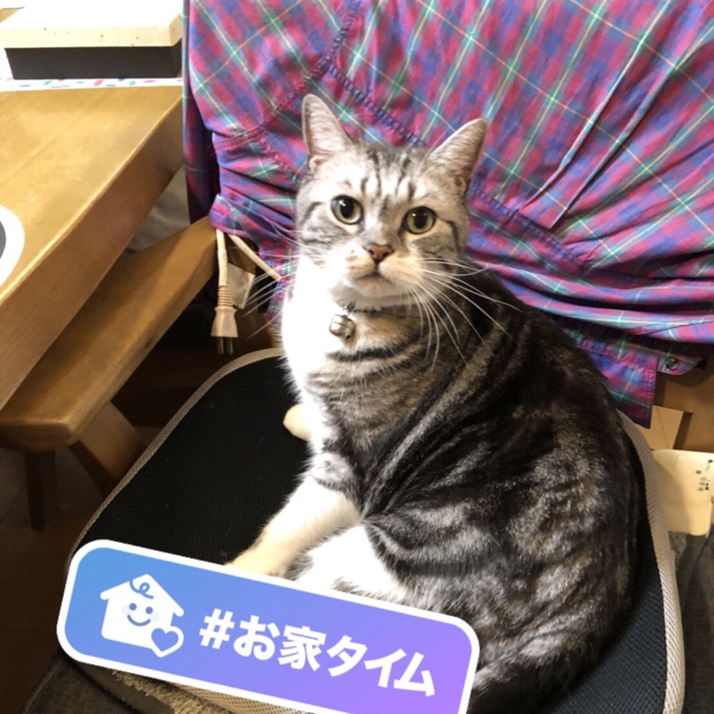 伊東 智美