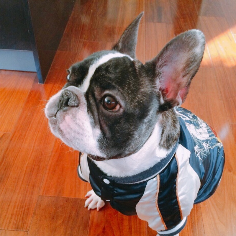 まきの