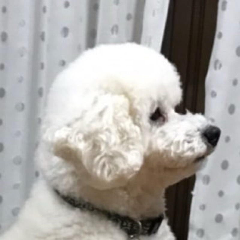 ユキ