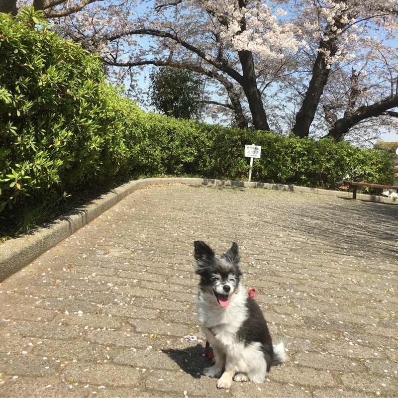 濱田　柚乃