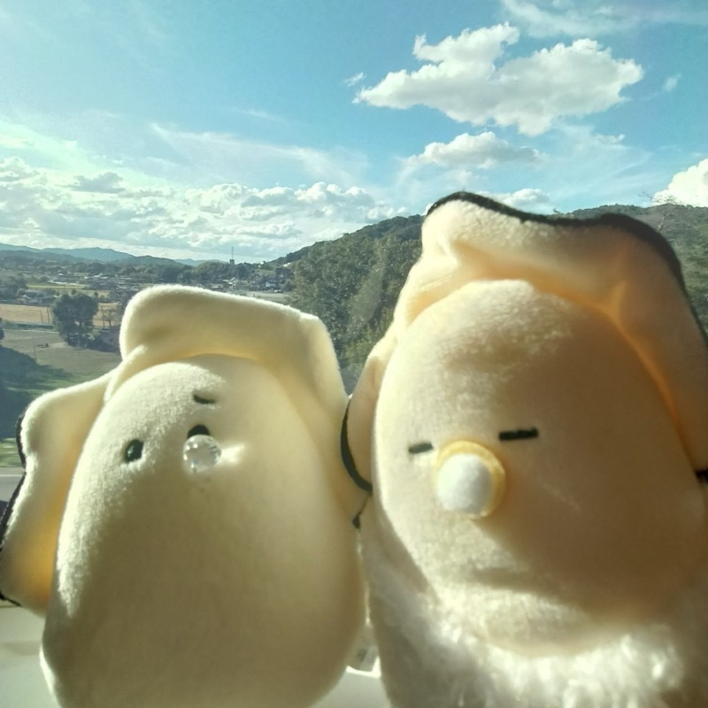 はっぱ