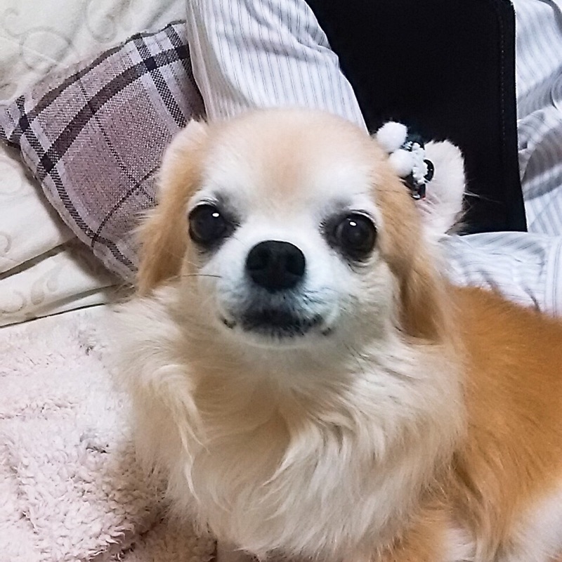 中野　美穂