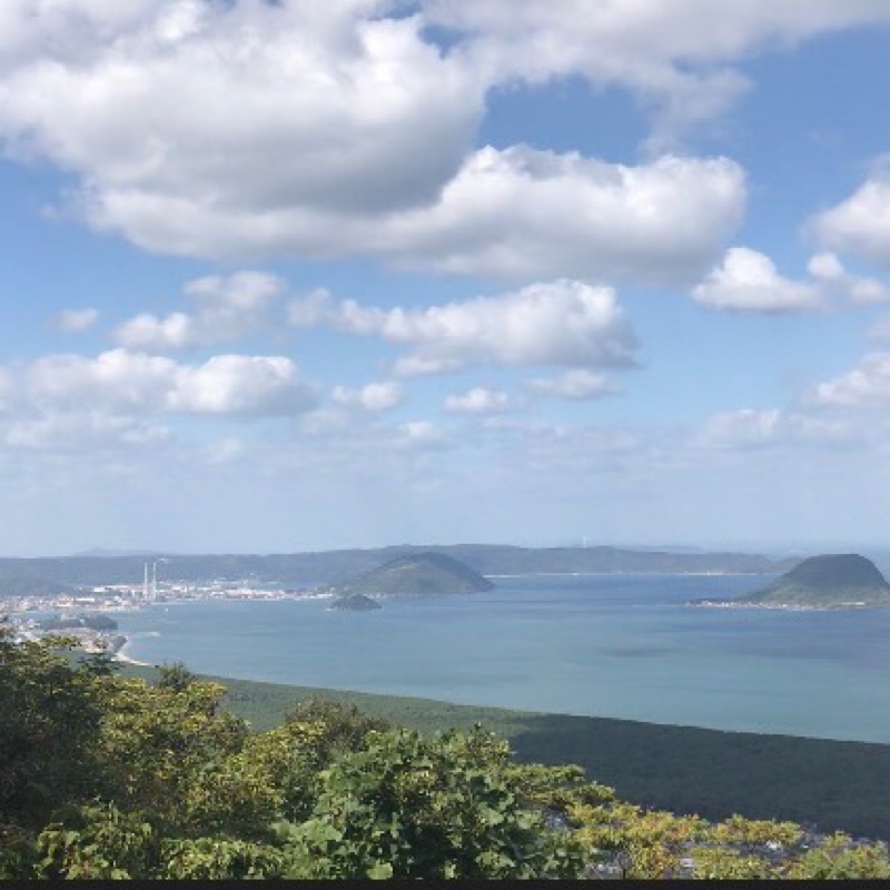 橋本雅美