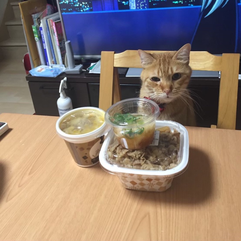 石丸雅代