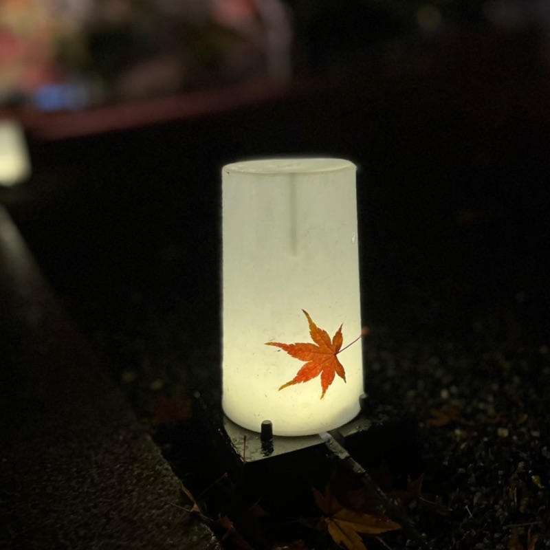 藏原依緒理
