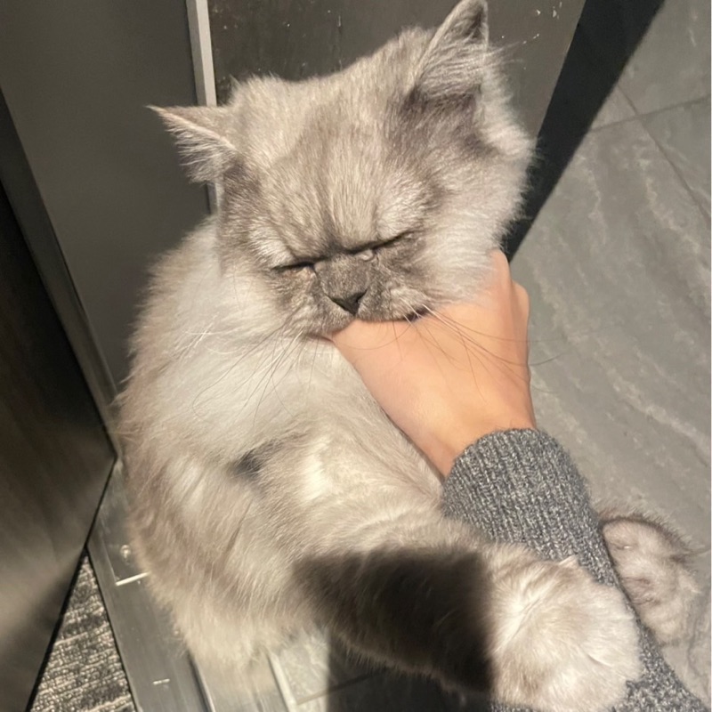 村松