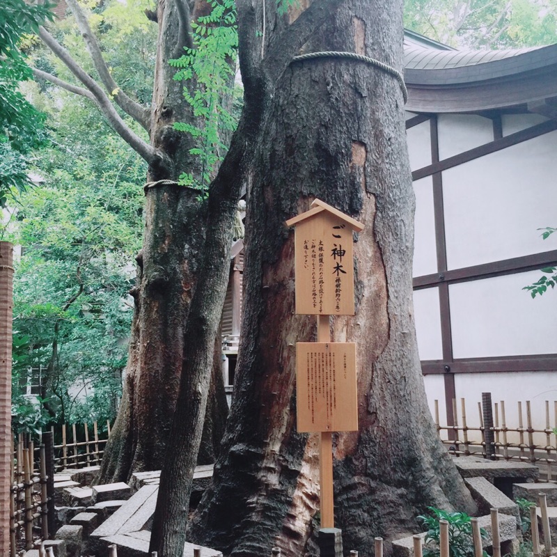 なかやまけんじ