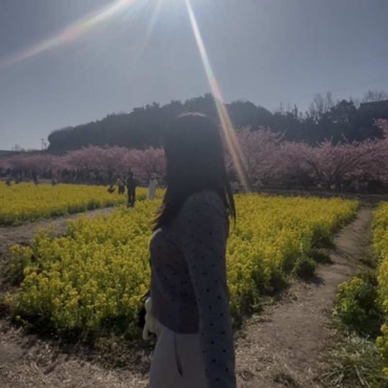 鈴木みほ