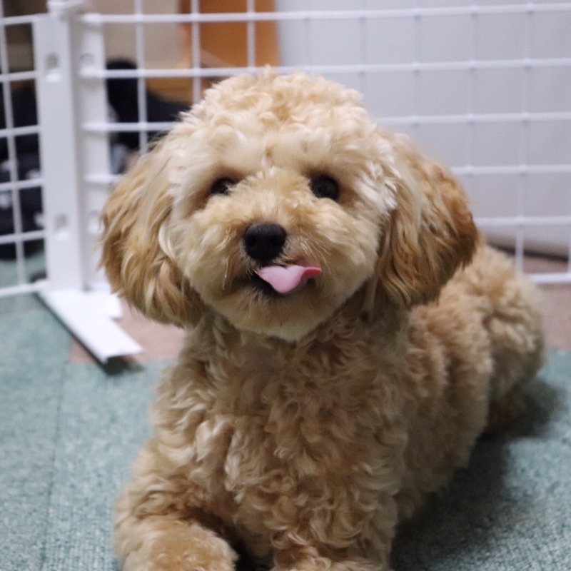 前村 寛人