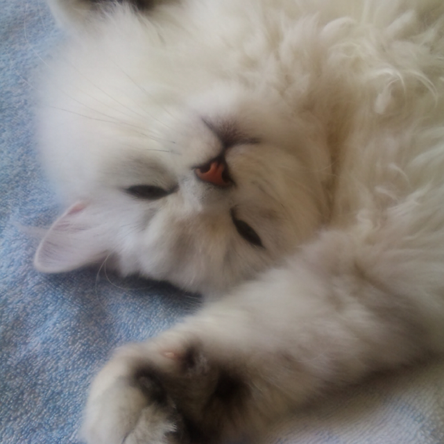 hako