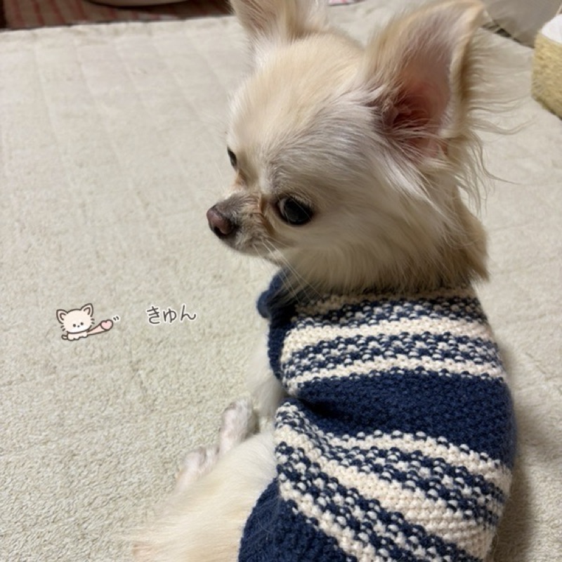 千村 萌