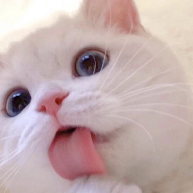 まゆ