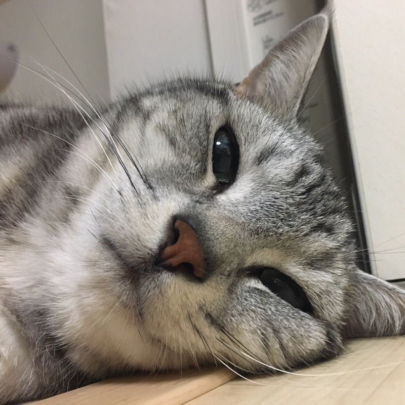 なるみ