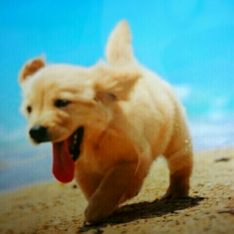 たなか
