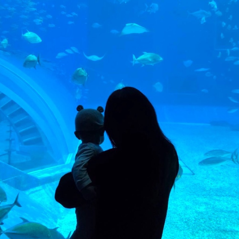 ジカフーズ　美穂