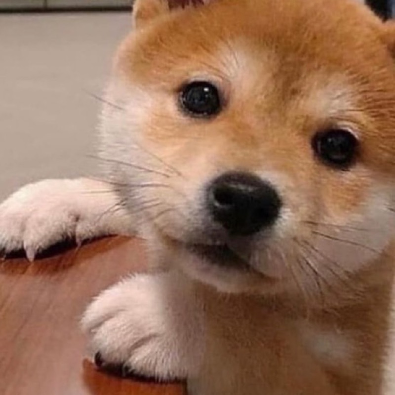 いちご