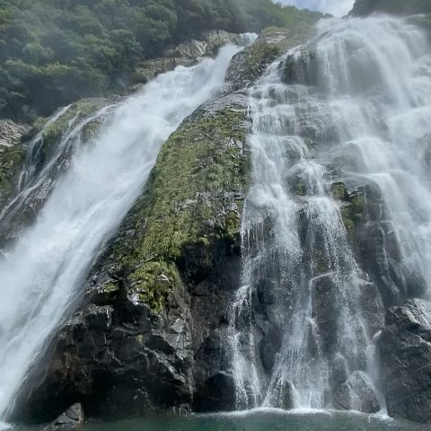 野口祐子