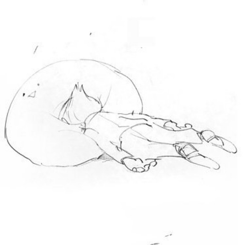 りょう