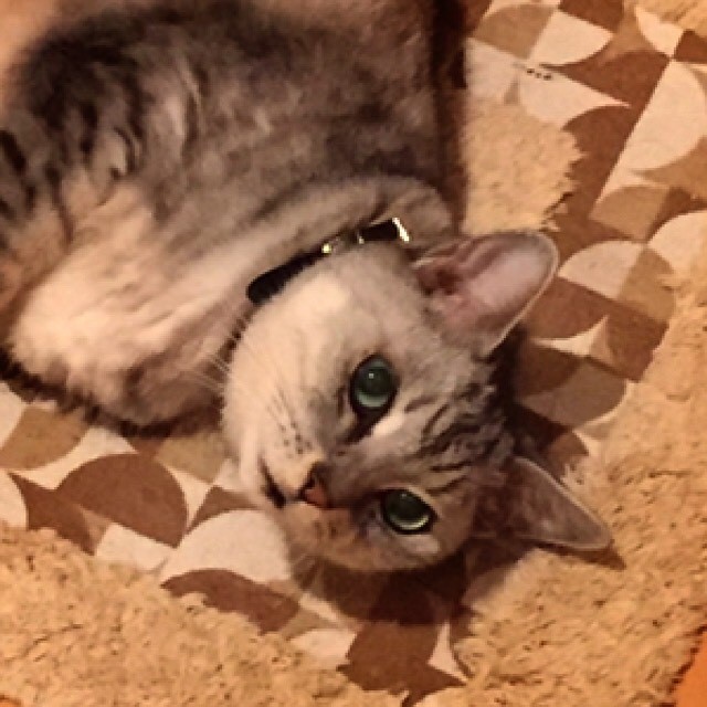 おの