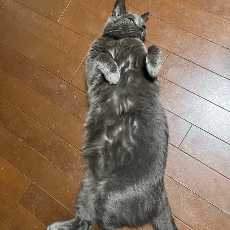 めぐ