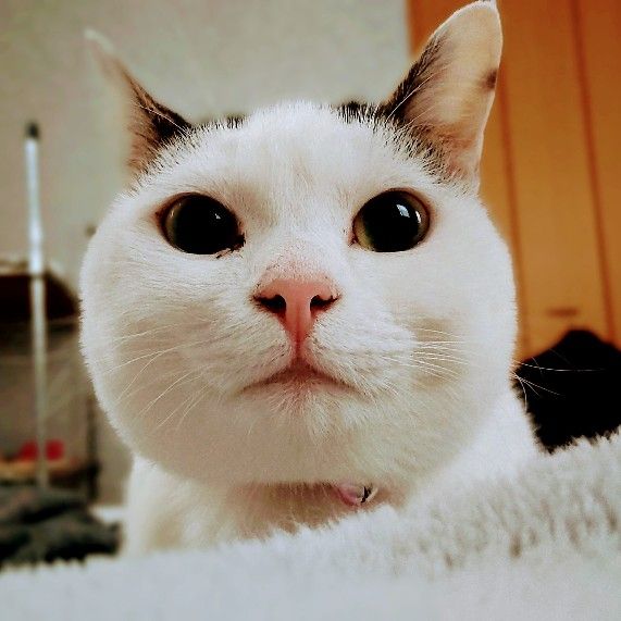 みち