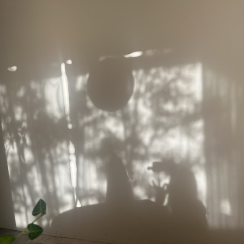 hide
