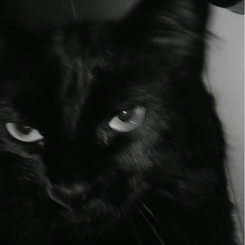 リィウウェンジュン