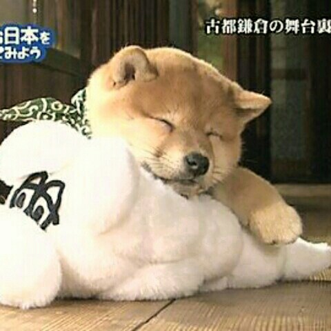 蜂谷敦子