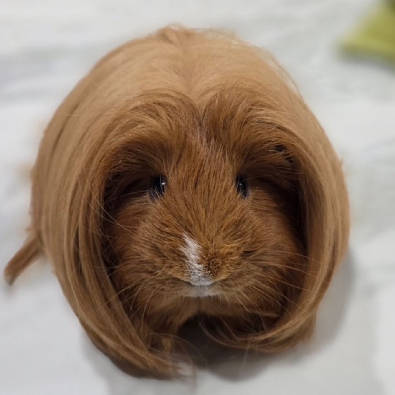 平塚　和子