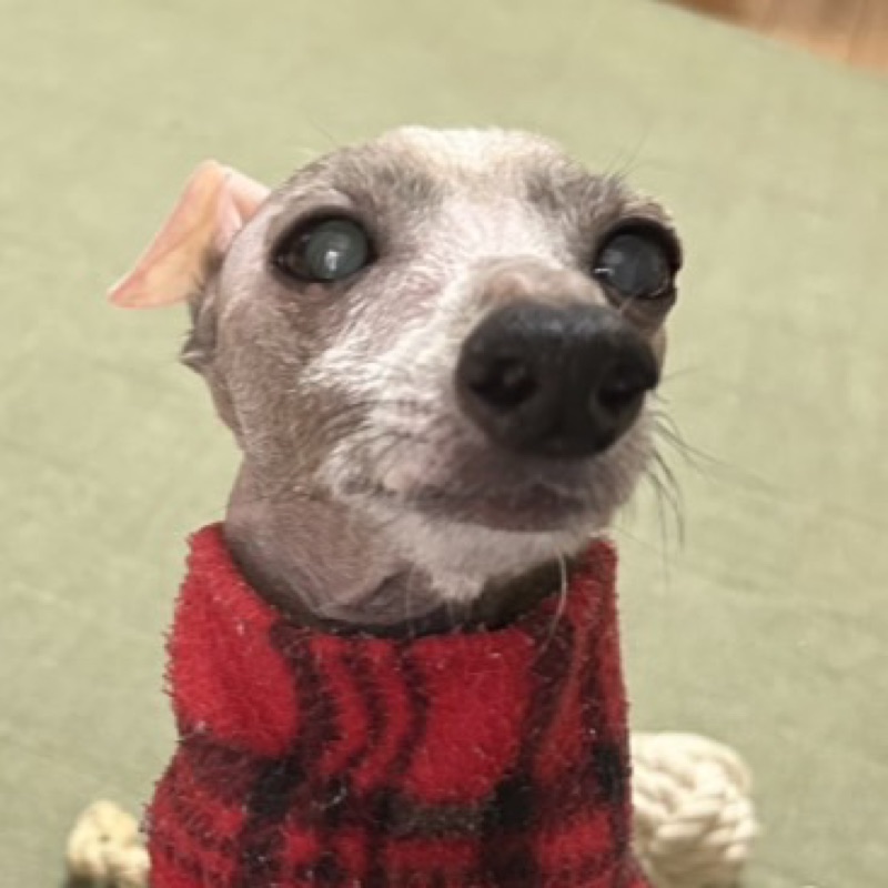 るる
