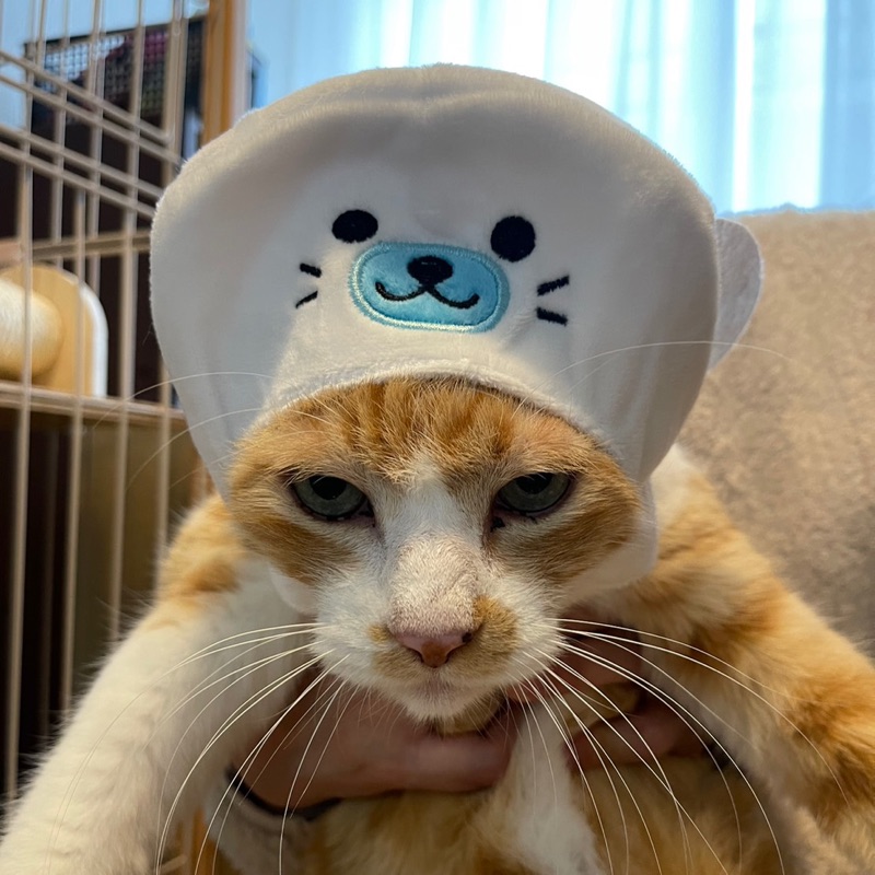 小松真弥