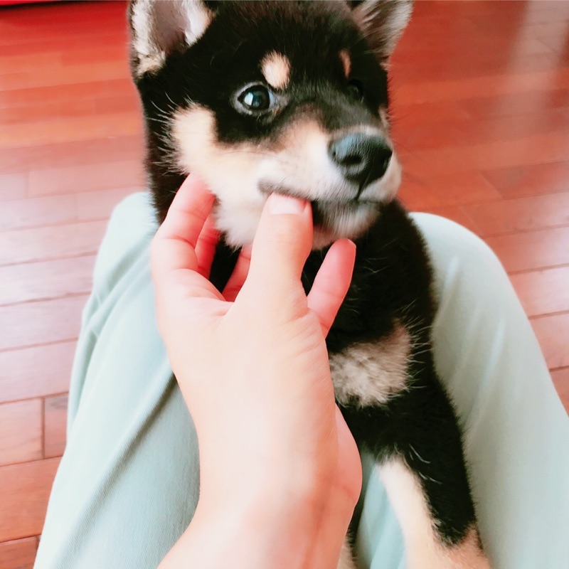 山崎まゆ