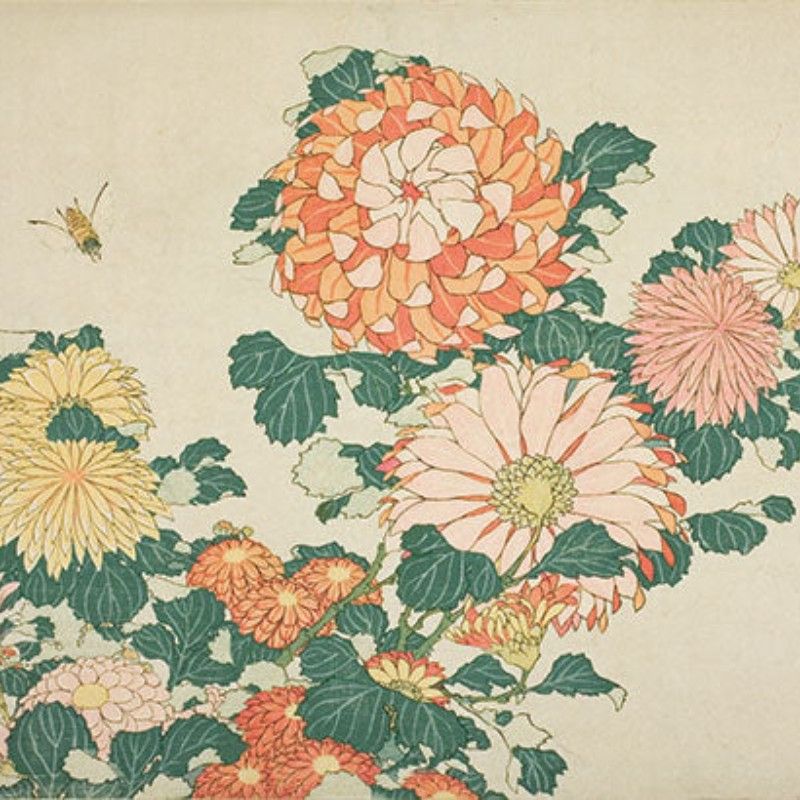 藤原純子