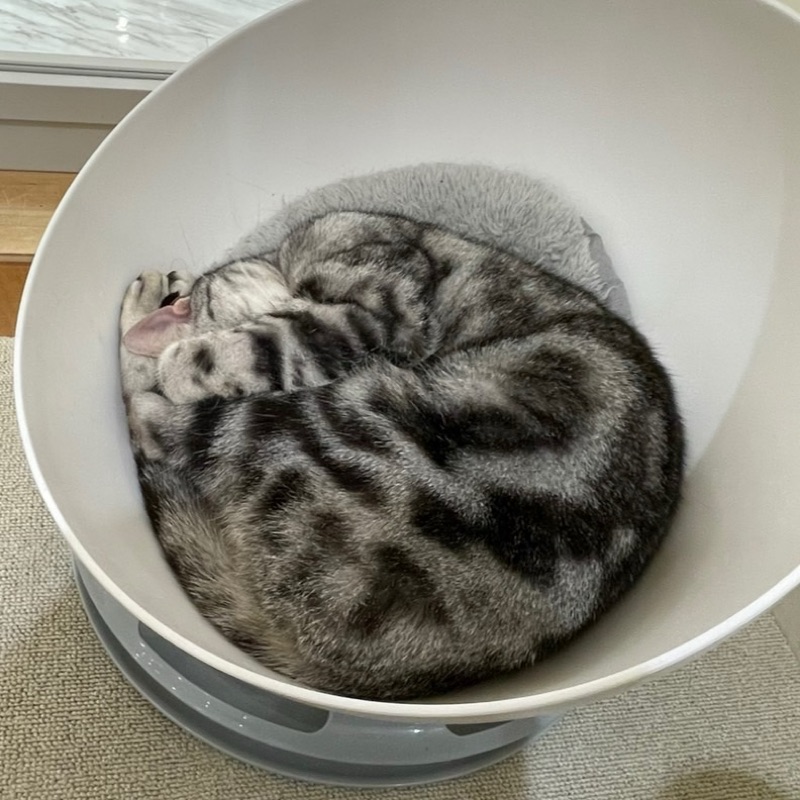 千木良侑哉