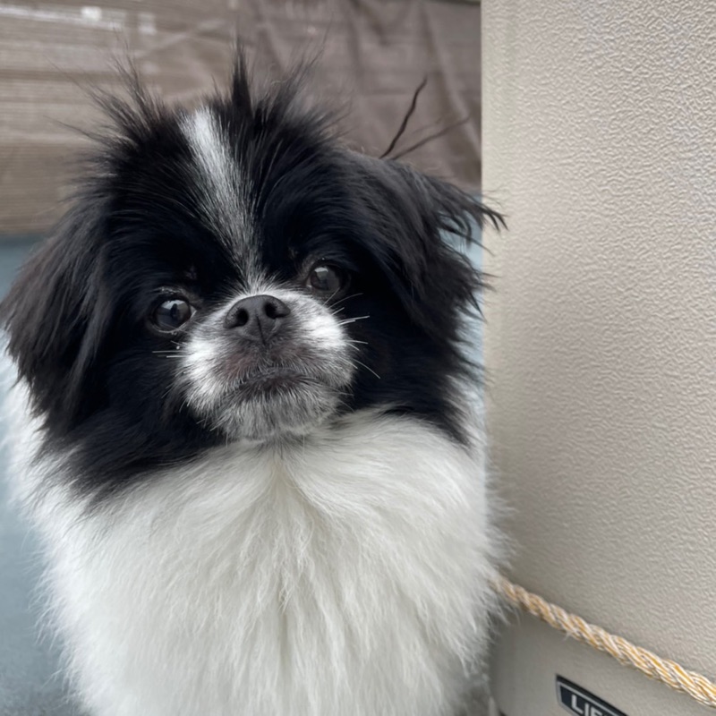 小笠原　千佳子