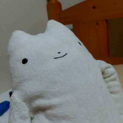 天野志穂