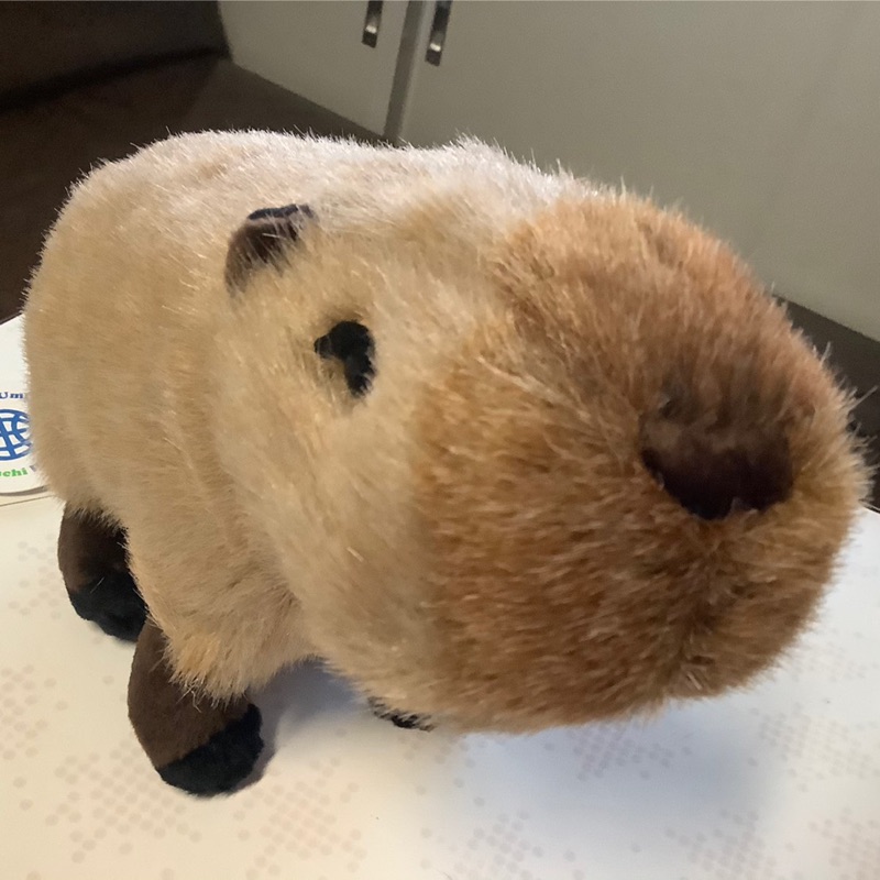 カピチュー