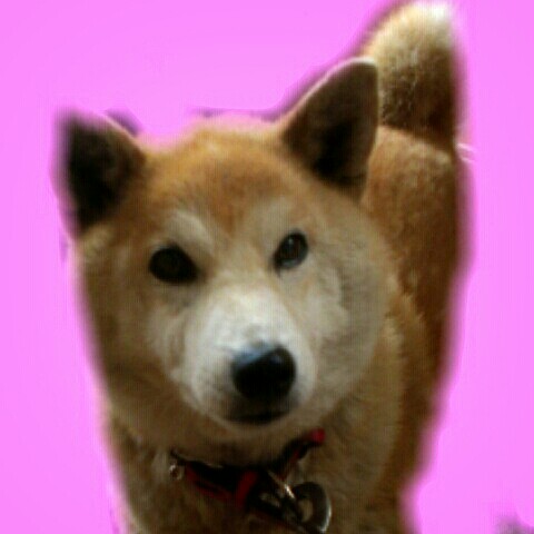 清藤幸子
