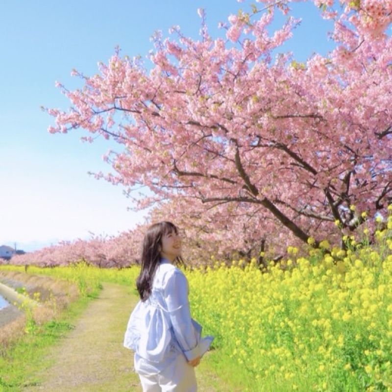 かなん。