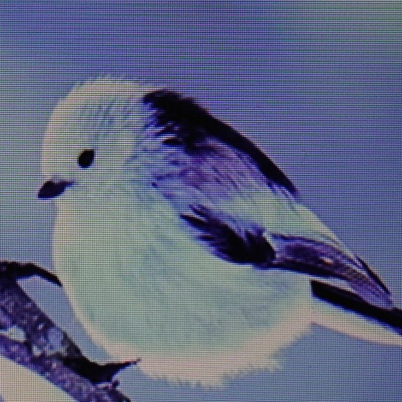 小宮敦子