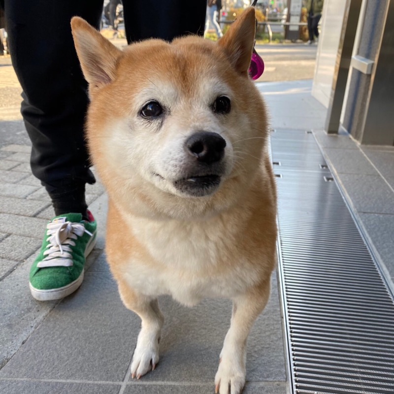 松本高憲