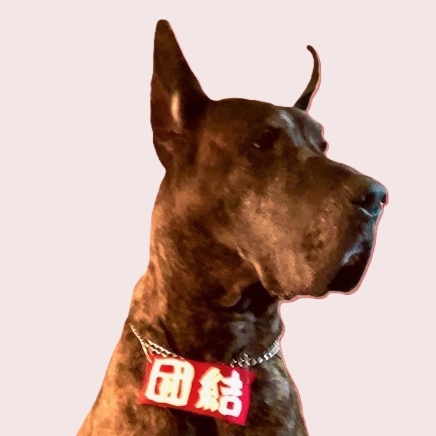 山岸美保