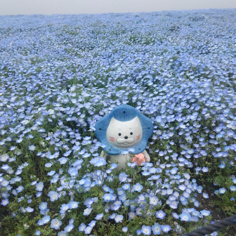 中島千里
