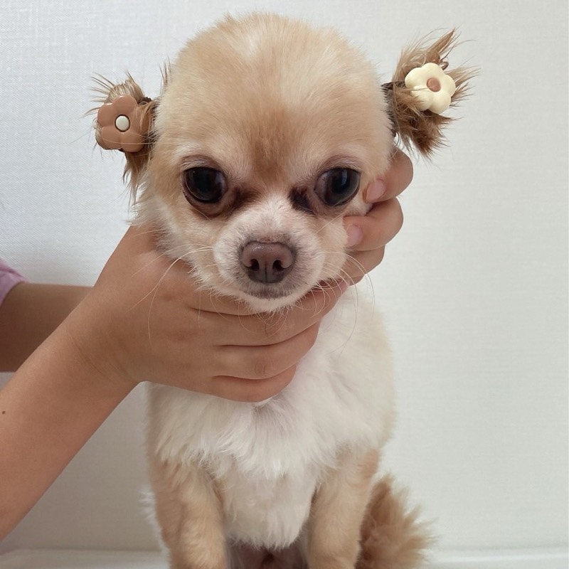 栗屋美幸
