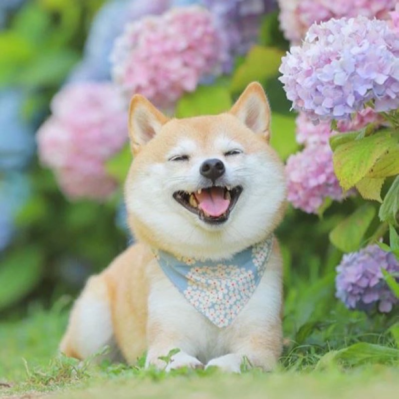 半崎　美江子